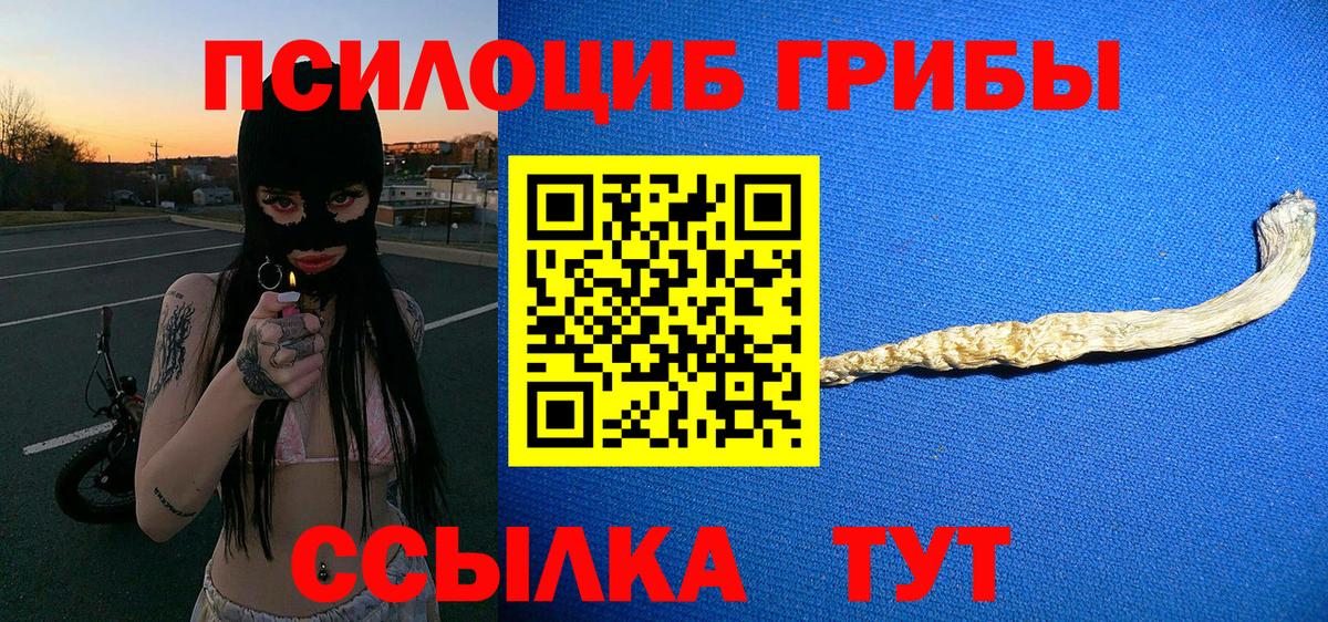 Псилоцибиновые грибы MAGIC MUSHROOMS Озёры