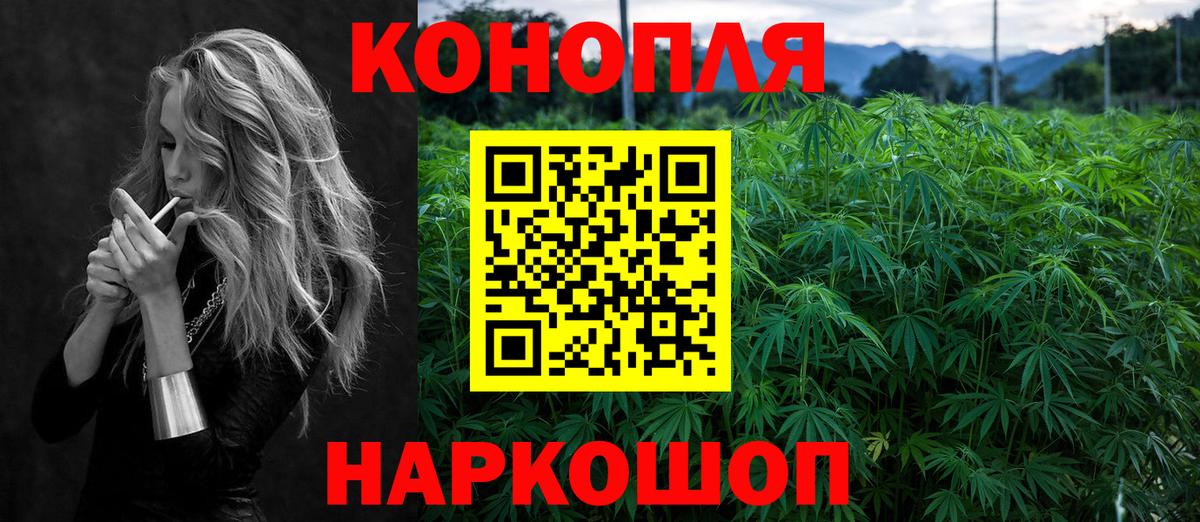 Марихуана сатива Озёры